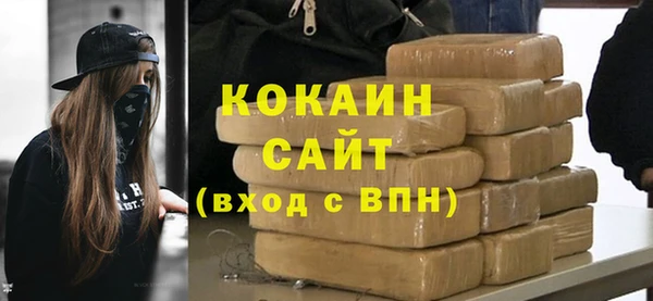 ПСИЛОЦИБИНОВЫЕ ГРИБЫ Вязники