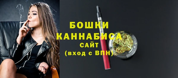 дживик Гусь-Хрустальный