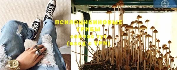 метадон Горнозаводск