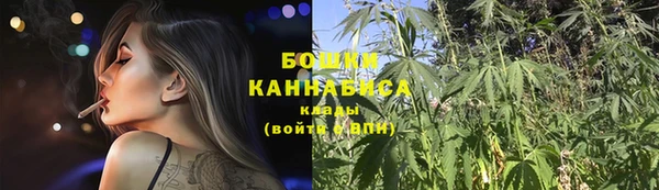 PSILOCYBIN Волоколамск