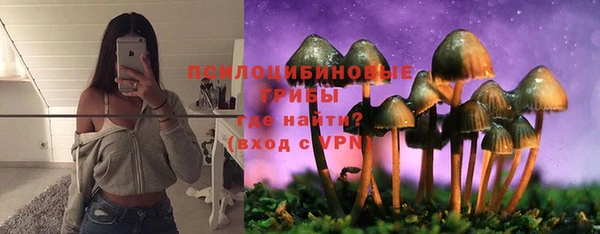 apvp Гусиноозёрск