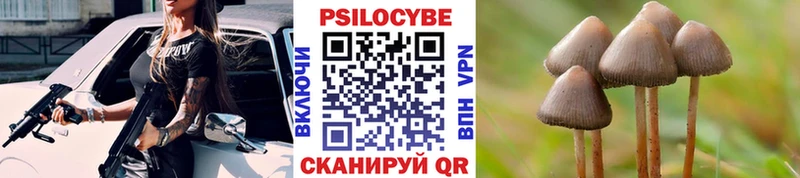 Галлюциногенные грибы прущие грибы Добрянка